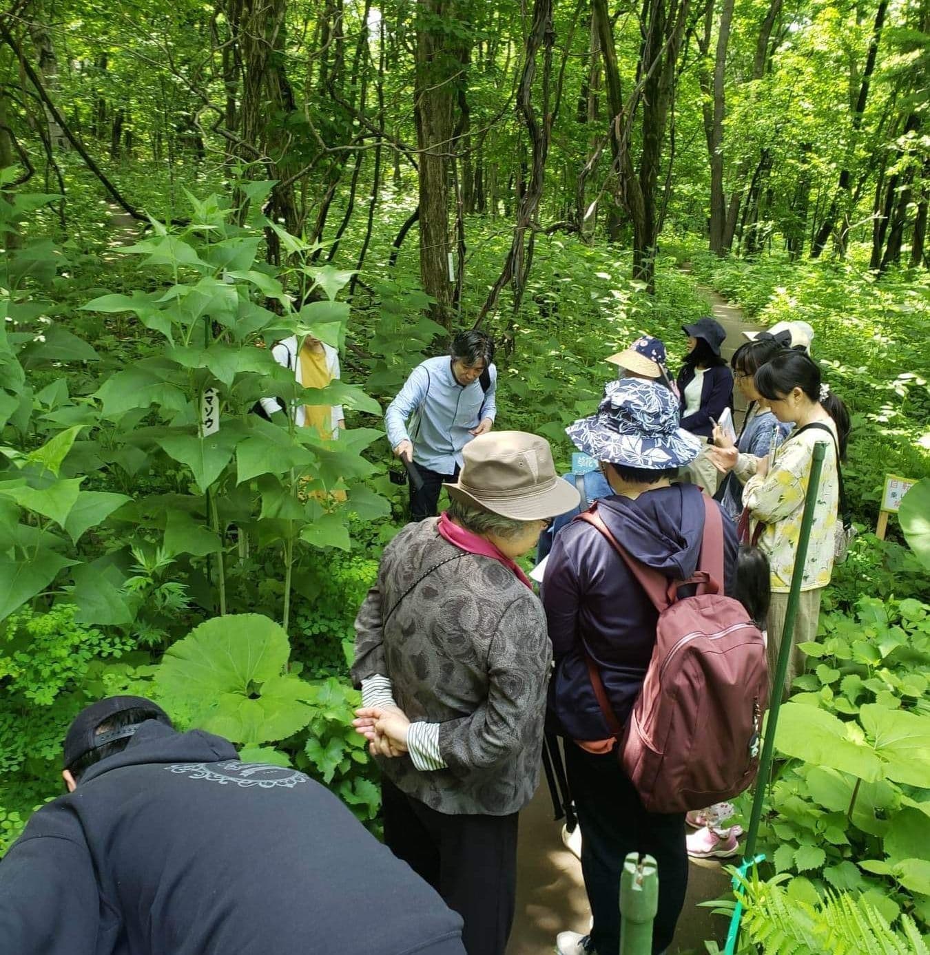 野草の中に人々がいる