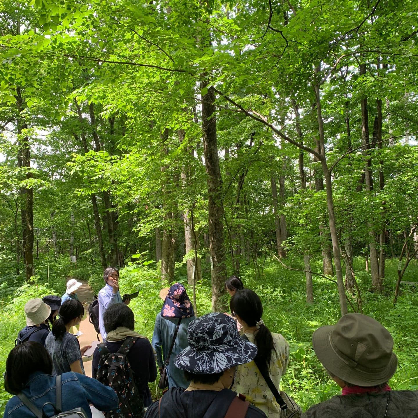 野草園を観察